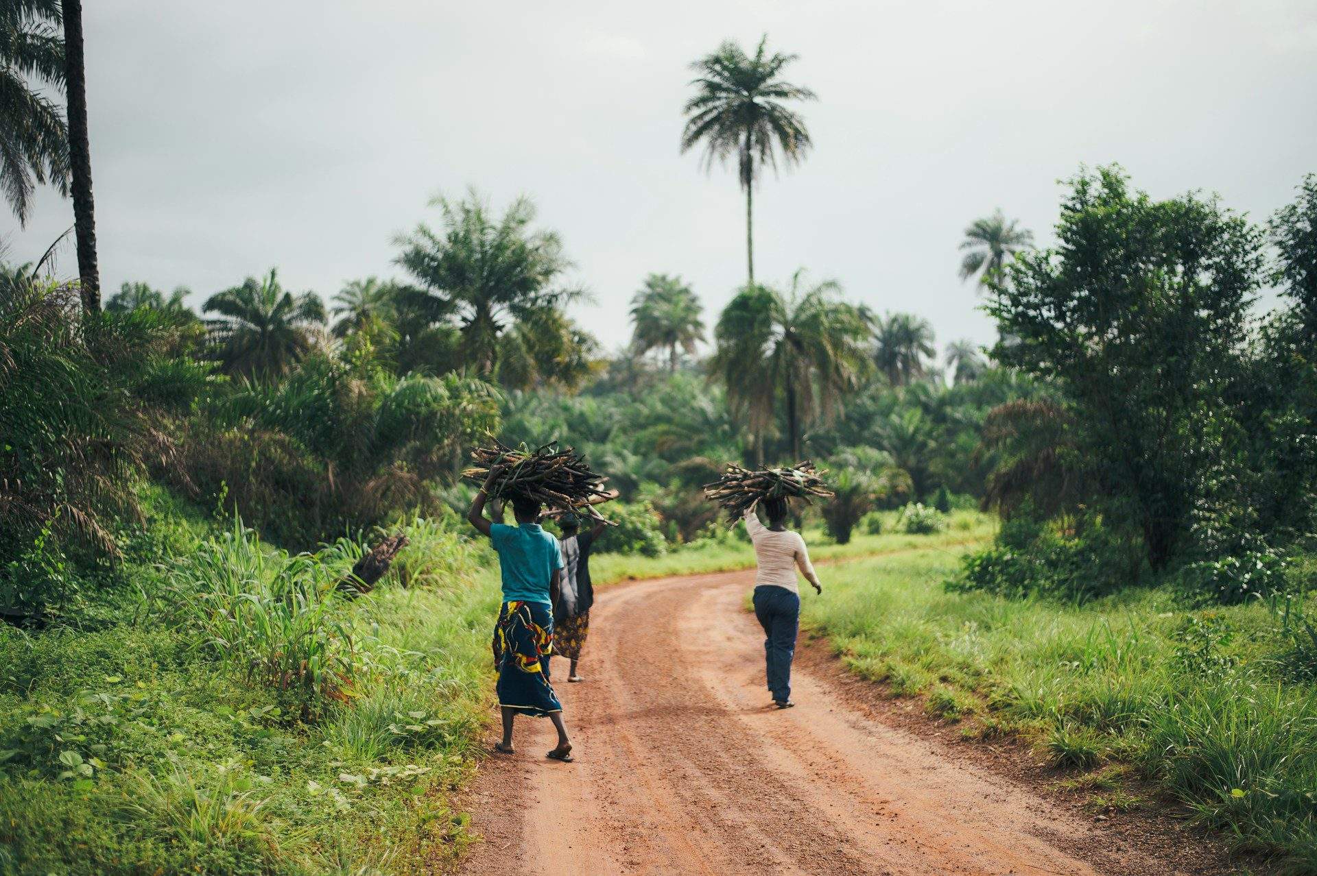 People walking through the jungle